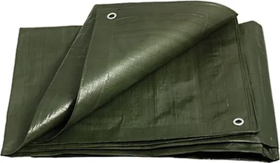 Image de Bâche de protection Levior en PE, 200 g/m², verte Dimensions : 8 x 12 m