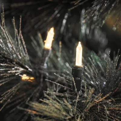 A close-up view of Christmas lights on a dark, frosted pine branch.
