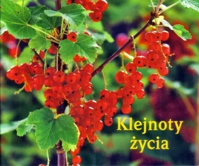 Image de Perełka 143 - Klejnoty życia - praca zbiorowa