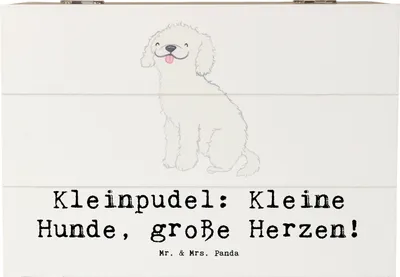Produktbild von Mr. & Mrs. Panda Geschenkbox Kleinpudel Liebe 22 x 15 cm - Weiß - Geschenk, kluge Hunde, Hunderasse, hypoallergen, Hunderassen Charakter, schatztruhe, Eigenschaften, Box