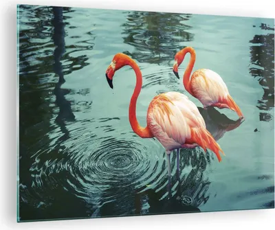 Produktbild von Bilder auf glas - Einteilig - Rosa Flamingos Wasser - 70x50cm - Glasbilder - Wandbilder - Bilder - zum Aufhängen bereit - Wanddekoration aus Glas - Glas Bilder - Wandbild auf Glas - GAA70x50-4203