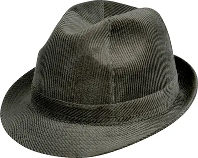 Produktbild von Fiebig Stoffhut Trilby Cord uni Oliv Gr. 57