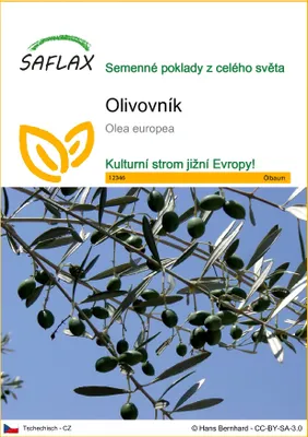 Obrázek produktu pro SAFLAX - olivovník - Olea europea - 20 Semena