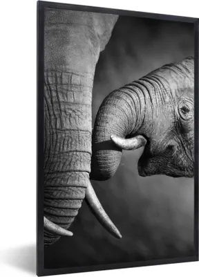 Produktbild von MuchoWow® Gerahmtes Poster Wildtiere - Elefant - Schwarz - Weiß - Porträt 40x60 cm - Poster mit Schwarzem Bilderrahmen Wandposter Rahmen Foto Bilder - Papierdruck - Wandbilder