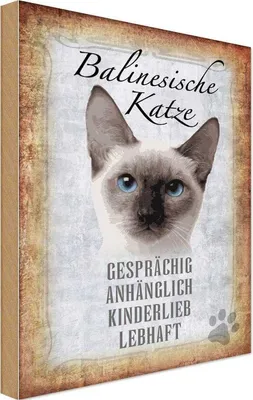 Produktbild von vianmo Holzschild 30x20 cm balinesische Katze Tier Haustier