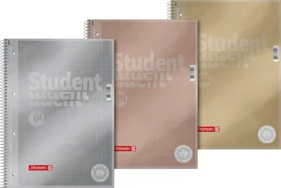 Produktbild von Brunnen 10-67 328 95, Abbildung, Gold, Roségold, Silber, A4, 80 Blätter, 90 g/m², Kariertes Papier