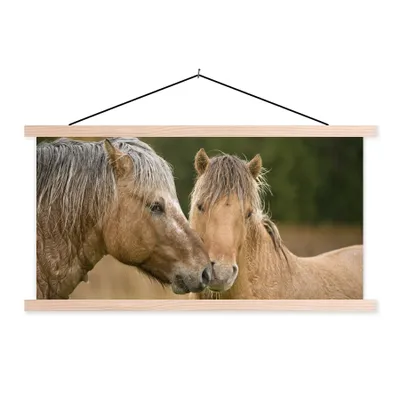 Produktbild von MuchoWow® Textilposter Nahaufnahme von kuschelnden Fjordpferden 60x30 cm mit holzfarbenen Rahmen - Dekoration