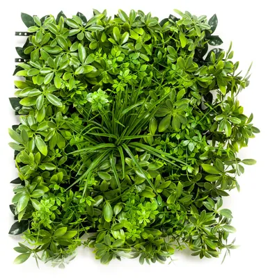 Produktbild von Emerald Künstliche Schefflera Matte - Malte | 50x50 cm, UV-beständig, für draußen, Kunstpflanze, wie echt, Allergiker geeignet, pflanzliche Dekoration Praxis, Office & Wohnzimmer