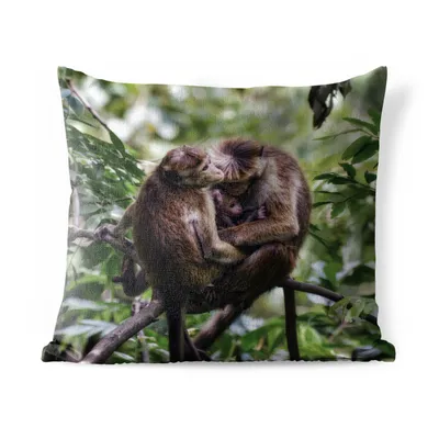 Produktbild von MuchoWow® Outdoor Kissen - Affen - Zweig - Blätter - 45x45 cm - Wetterfest - Lounge Kissen - Fotokissen - Dekoratives Kissen