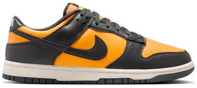 Image de Nike Dunk Low Retro HF5441-700
