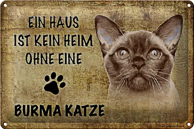 Produktbild von Blechschild Spruch 30x20cm Burma Katze ohne kein Heim