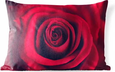 Produktbild von MuchoWow® Outdoor Kissen - Rosen - Rot - Blumen - 50x30 cm - Wetterfest - Lounge Kissen - Sofa kissen - Wohnzimmer Dekoration