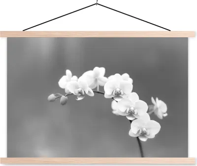 Produktbild von MuchoWow® Textilposter Orchidee - Blumen - Pflanze - Weiß - Lila 120x80 cm mit holzfarbenen Rahmen - Aufhängeset