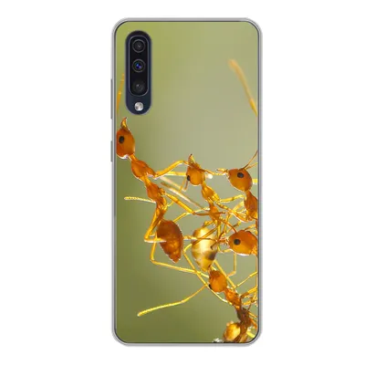Produktbild von MuchoWow® Handyhülle Schutzhülle Hülle für Samsung Galaxy A50 Ameisen - Orange - Tiere Silikon Softcase Handy Hülle - Mobiltelefonhülle