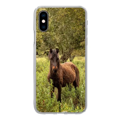 Produktbild von MuchoWow® Handyhülle Schutzhülle Hülle für iPhone X Pferd - Wald - Gras Silikon Softcase Handy Hülle - Handyhülle