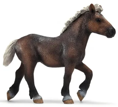 Zdjęcie produktu dla schleich 13665, 3 lat(a), Brązowy, Plastik