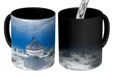 Obrázok produktu pre MuchoWow® Magický pohár Húf žralokov 350 ml Pohár na zmenu farby Darček Nápad na darček - Foto hrnček