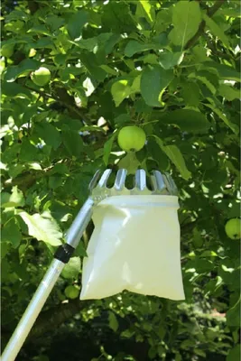 Produktbild von Praktischer Obstpflücker mit Teleskopstange Ideal für Äpfel und Birnen
