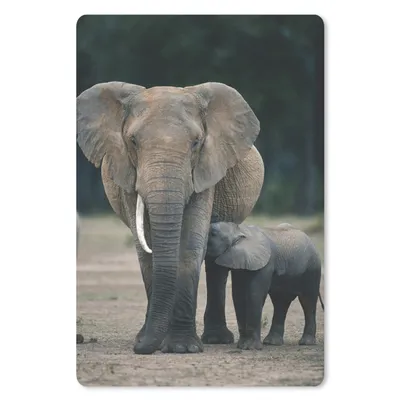 Produktbild von MuchoWow® Mauspad Mousepad Elefant - Tiere - Flachland - Natur 40x60 cm - Mousepads - Maus Mat - Pad - Mausunterlage - Schreibtisch Accesoire