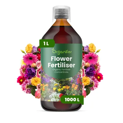 Obrázek produktu pro Flower Tekuté Hnojivo 1 L – 3-4-3 NPK – Pro Kvetoucí Rostliny – Pro Bujné Květy & Intenzívny Růst – Podporuje Kořeny & Vitalitu – Organifer