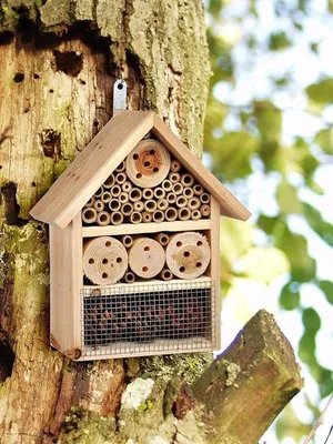 Productafbeelding van Famanu insectenhotel, gemaakt van natuurlijke materialen - Geschikt voor bijen, lieveheersbeestjes en vlinders - Om op te hangen