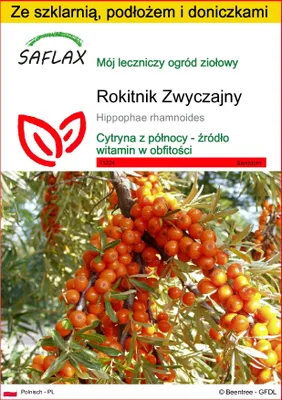 Zdjęcie produktu dla SAFLAX - Zestaw do uprawy - Rokitnik Zwyczajny - 40 Nasiona - Z mini szklarnią, podłożem uprawowym i 2 doniczkami - Hippophae rhamnoides
