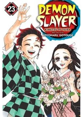 Obrázek produktu pro Demon Slayer: Kimetsu No Yaiba, Vol. 23