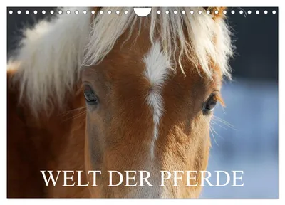 Produktbild von Welt der Pferde (Wandkalender 2027 DIN A4 quer), CALVENDO Monatskalender