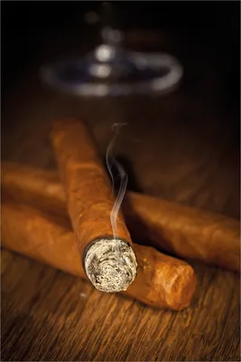 Produktbild von Wallario Poster - Zigarre am Abend, Kunstdruck Größe: 61 x 91,50 cm