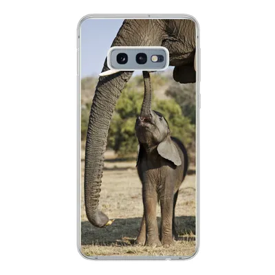 Produktbild von MuchoWow® Handyhülle Schutzhülle Hülle für Samsung Galaxy S10e Elefant - Tiere - Gras - Natur Silikon Softcase Handy Hülle - Handy