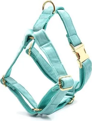 Image de Harnais pour chien Lakeblue XS