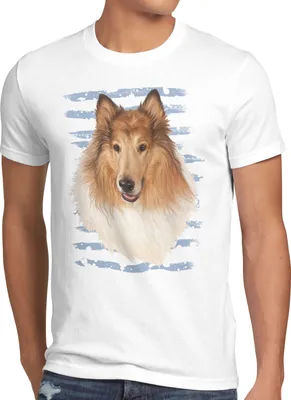 Produktbild von style3 Collie Herren T-Shirt hundeliebhaber züchter tier