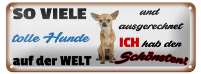 Produktbild von Blechschild Spruch 27x10cm Ich hab den schönsten Hund Dekoration