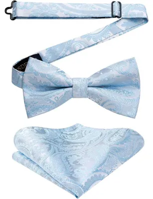 Produktbild von Fliege mit Einstecktuch für Herren, Hellblau, Verstellbar, Vorgebunden, Polyester-Seide