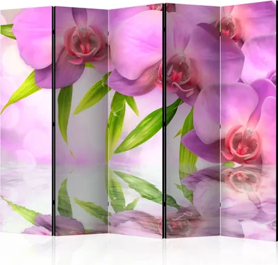 Zdjęcie produktu dla Akustyczna ścianka działowa Orchidea Ekran fotograficzny 225x172 cm drukowany po obu stronach na włókninie Akustyczna piankowa ścianka działowa Hiszpańska ściana Ekran prywatności Domowe biuro Kwiaty Natura Botanika b-C-0414-z-c
