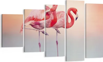Produktbild von Bild auf Leinwand - Leinwandbild - 5 Teile - Flamingos Exotik Vögel - 100x60cm - Wand Bild - Wanddeko - Wandbilder - Leinwanddruck - Bilder - Wanddekoration - Leinwand bilder - EG100x60-5044