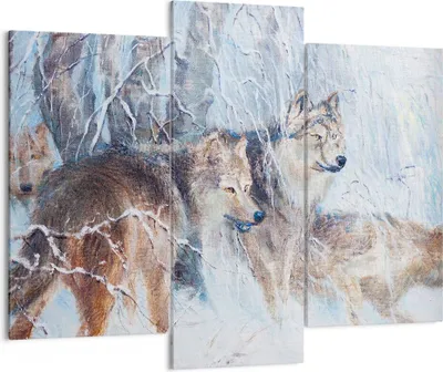 Produktbild von Bild auf Leinwand - Leinwandbild - Wolf Tier Wald - 130x100cm - Wand Bild - Wanddeko - Wandbilder - Leinwanddruck - Bilder - Kunstdruck - Wanddekoration - Leinwand bilder - Wandkunst - CB130x100-3770