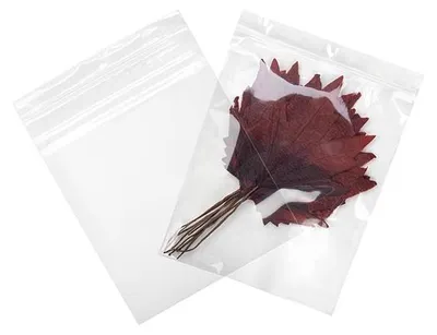 Produktbild von Druckverschlussbeutel mit Aufhängeloch 20.5x25.5cm Transparent PP 75 Mikron (100 Stück) [Z3R810]