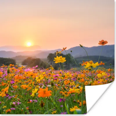 Produktbild von MuchoWow® Poster Blumen - Sonnenuntergang - Berg 100x100 cm - Babyzimmer