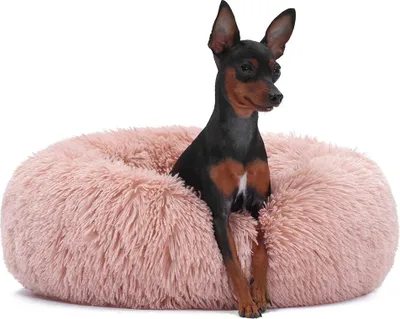 Obrázek produktu pro Postel Jenny Light Pink XS