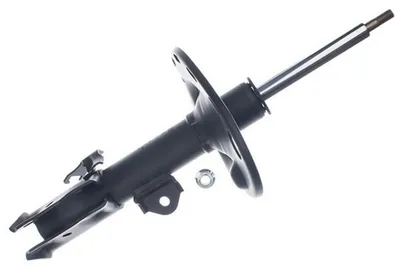 Immagine prodotto di EBG Ammortizzatore anteriore destro Toyota 4851009X10 485100F050 485100F051