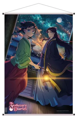 Image de Les carnets de la pharmacienne Wandrolle 02 Maomao & Jinshi, format 60 x 90 cm