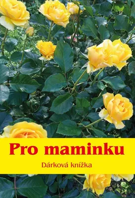 Obrázek produktu pro Pro maminku - Dárková knížka