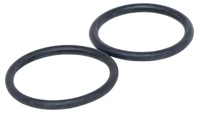 Produktbild von Laguna O-Ring für Quarzröhre, 2er-Set für Laguna Pressure-Flo 2500/5000/8000/12000