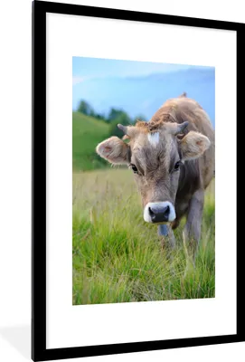 Produktbild von MuchoWow® MuchoWow® Gerahmtes Poster Kuh - Braun - Landschaft 60x90 cm - Poster mit zchwarzem Bilderrahmen - Dekoration - Wandposter Wohnzimmer - Hochwertig