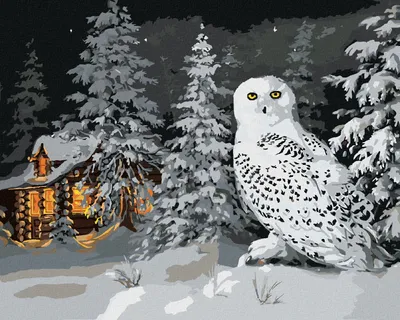 Image de Zuty - Peinture par numéros - HIBOU DES NEIGES DANS LA FORÊT ET CHALET EN HIVER (D. RUSTY RUST), 40 x 50 cm, toile tendue sur châssis