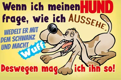 Produktbild von vianmo Holzschild 12x18 cm wenn ich meinen Hund frage Dekoration