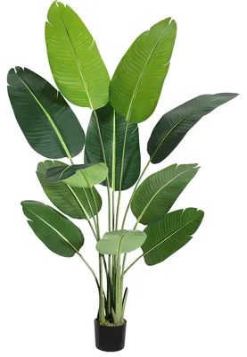 Imagen del producto de Pachirriz artificial Canna, 150 cm – Planta artificial realista para maceta, ideal para el hogar, la oficina y la terraza, sin necesidad de cuidados