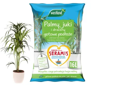 Produktbild von Westland Substraterde 16L - Seramis Erde für Palmen Yucca Dracaena