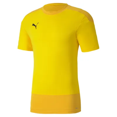 Produktbild von Puma teamGOAL 23 Training Jersey